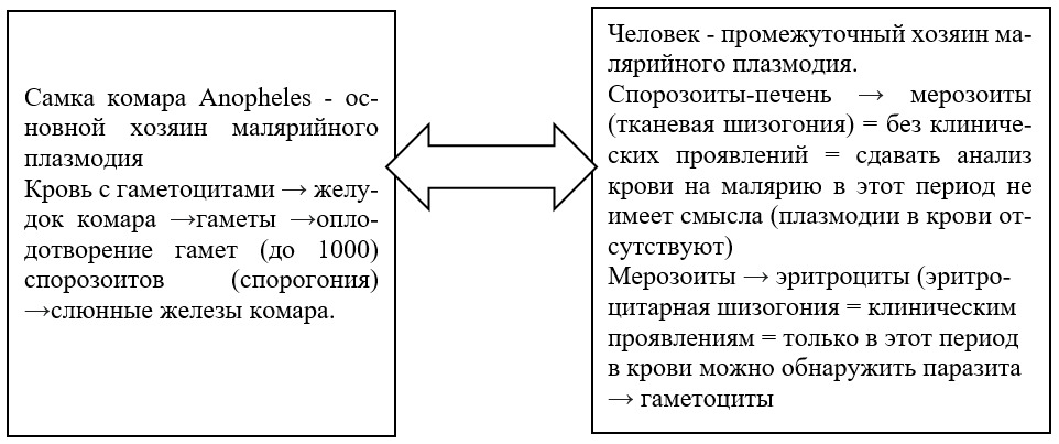 30 09 25 23